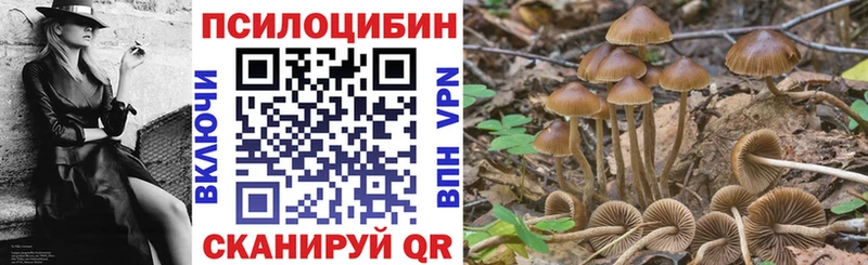 Купить закладки  Коркино  Псилоцибиновые грибы мухоморы 